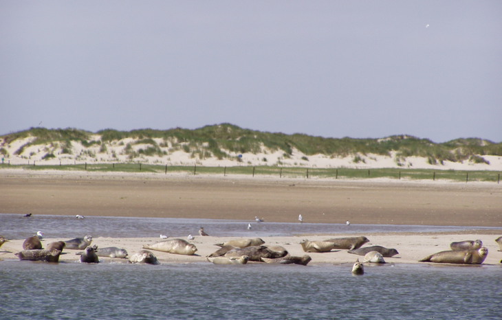 Regioteam Wadden