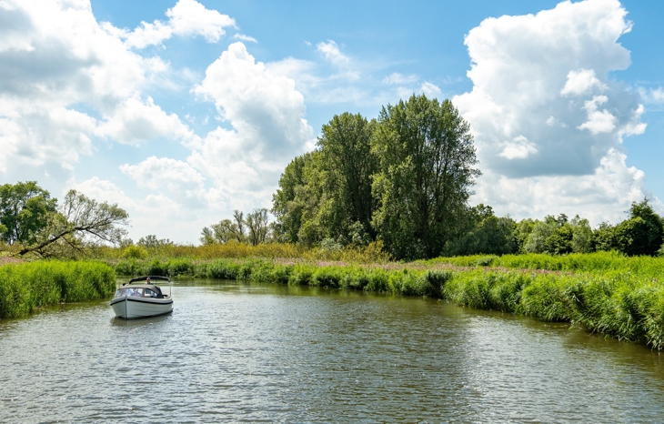 Shutterstock 2489392339