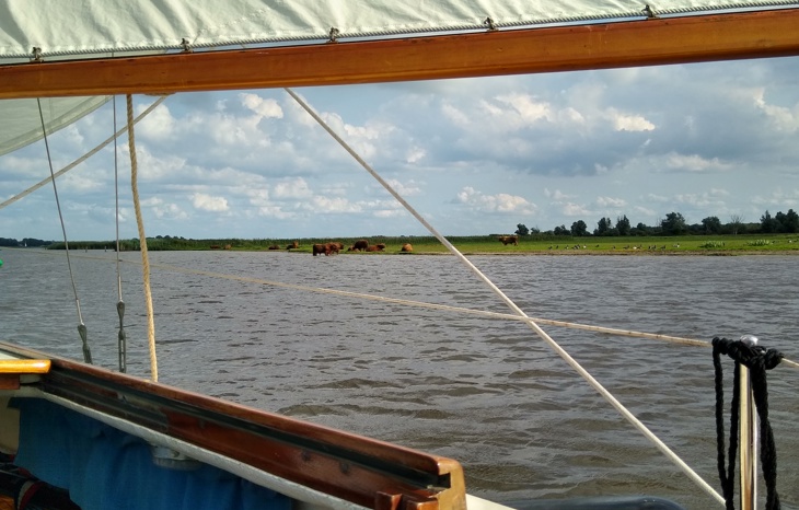 IMG 20230821 165111972 HDR